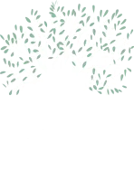 L'OLIVIER logo