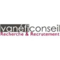 VANEFI TECH logo