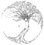 BLUM CAROLINE logo