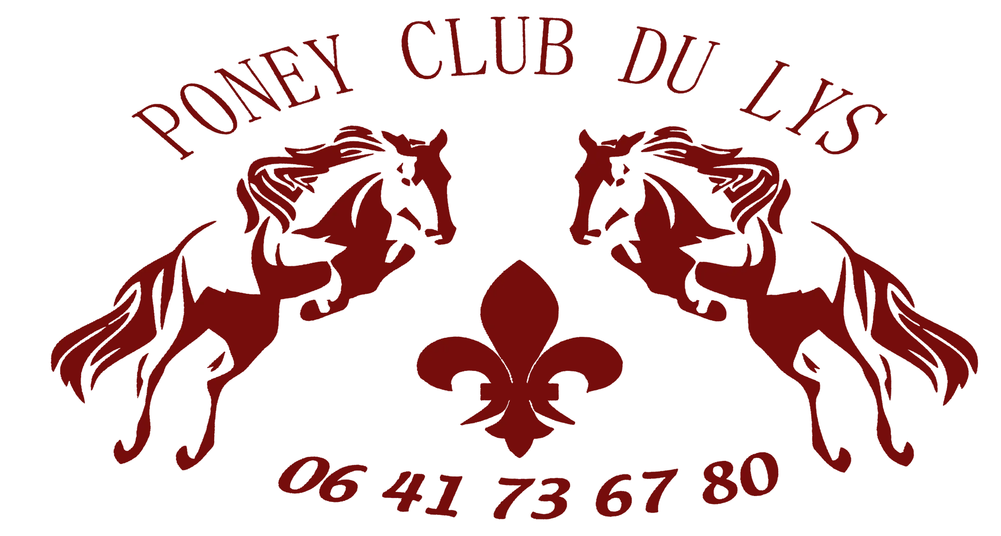 PONEY CLUB DU LYS logo