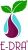 E-DRACONSEIL logo
