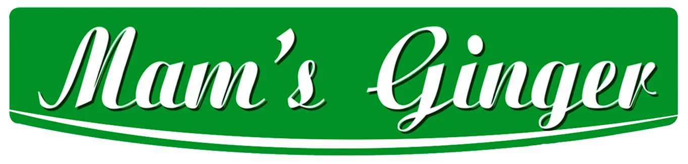 MESSAGERIE TRANSPORTS EXPRESS (M.T.E) logo