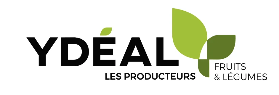 YDEAL logo