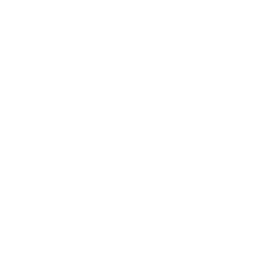 CARPANETTI logo