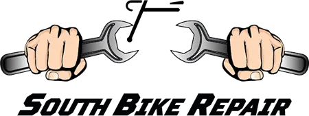 DIELS EMMANUEL logo