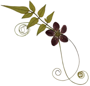 FORSMAN ANNA ULRIKA logo