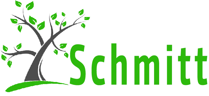 SCHMITT ISAIE logo