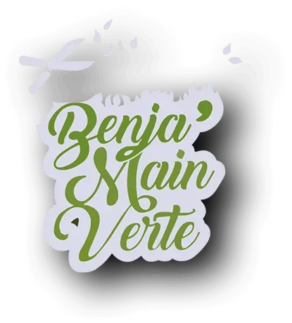 BENJA'MAIN VERTE PAYSAGE logo