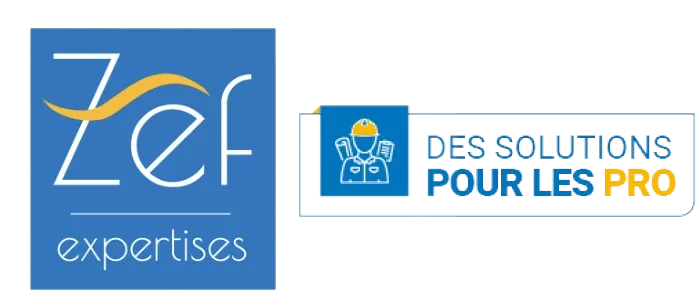 ZEF EXPERTISES (ZEF EXPERTISES) logo