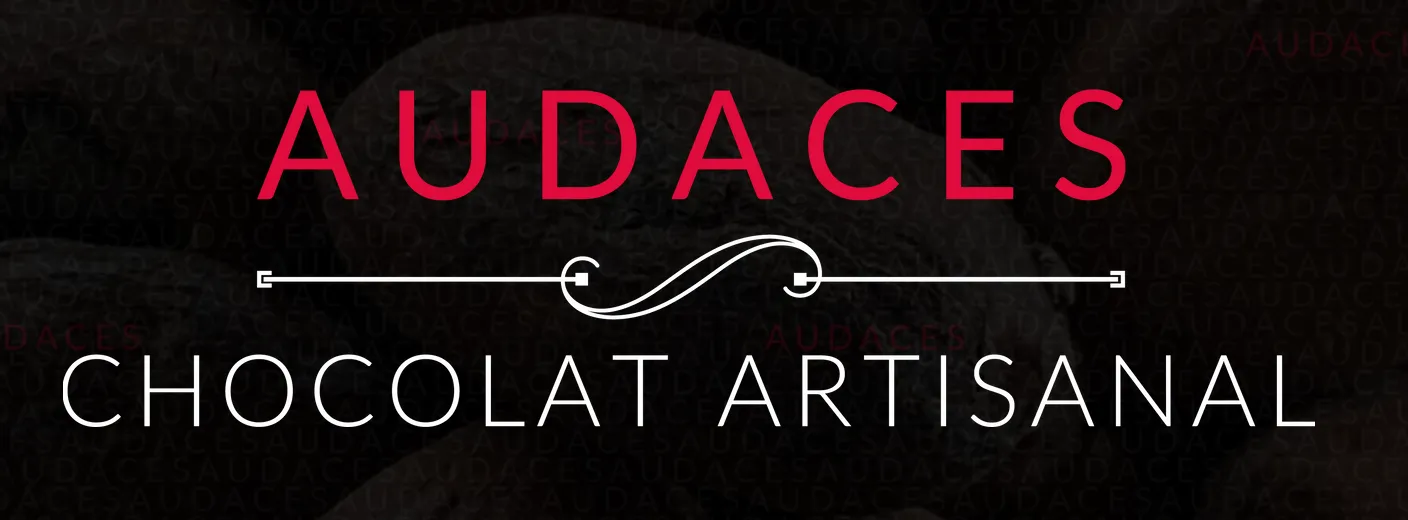 AUDACES logo