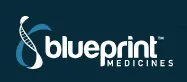 BLUEPRINT MEDICINES (FRANCE) SAS logo