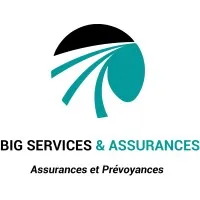 EMII BIG SERVICES logo