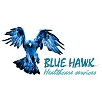 BLUE HAWK logo