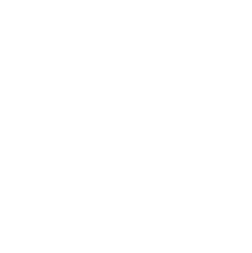 DOMAINE DE BEBIAN SONIS logo