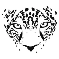 BES ALEXANDRE logo