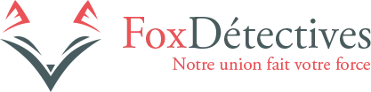 LD CONSEILS logo