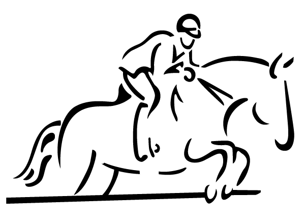 SORIN ORNELLA logo