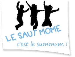 PAYA DELPHINE (LE SAUT MOME) logo