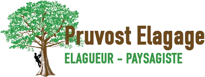 PRUVOST TEISSON logo