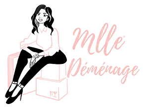 MLLE DEMENAGE logo