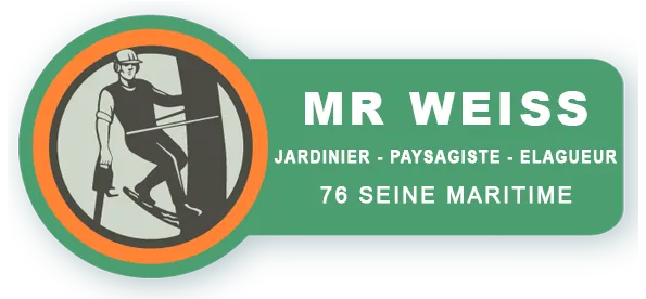 WEISS PIERRE logo