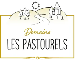 NOUVELLE VIE logo