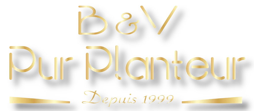B ET V PUR PLANTEUR logo