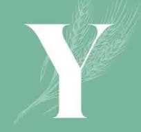 YVAN logo