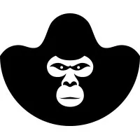 AGENCE KING KONG logo