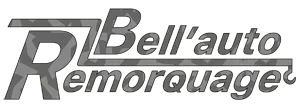 BELLOT REMY logo