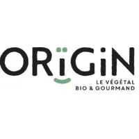 ORIGIN logo