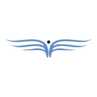 FRENCHIDRONE logo