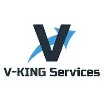 V-KING SERVICES logo