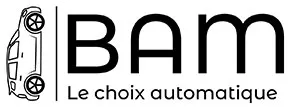 BAM logo