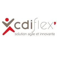 Voici le logo de la marque CDI FLEX' qui représente son identité graphique.