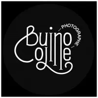 BUINO COLINE logo