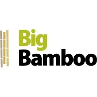 BIGBAMBOO logo
