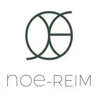 NOE logo