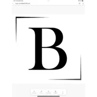 BASOCHES logo