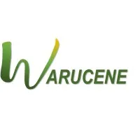 Voici le logo de la marque WARUCENE qui représente son identité graphique.