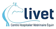 CURNIS CLOTHILDE logo