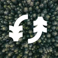 NEW FOREST BREWING COMPANY (NFBC) logo