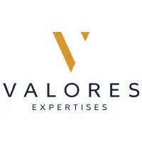 VALORES EXPERTISES logo