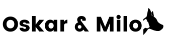 MV AGENCY logo