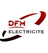 DFM ELECTRICITE logo
