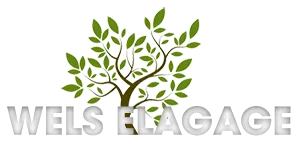 WELS ROCCO logo