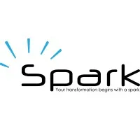 SPARK MANAGEMENT logo