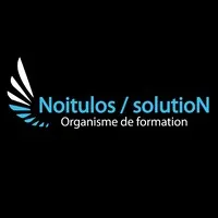 NOITULOS SOLUTION logo
