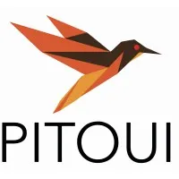 PITOUI logo