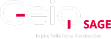 Voici le logo de la marque GEIQ SAGE qui représente son identité graphique.